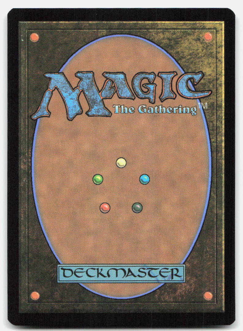 TCRI Building 0189 Land Teenage Mutant Ninja Turtles Magic: The Gathering