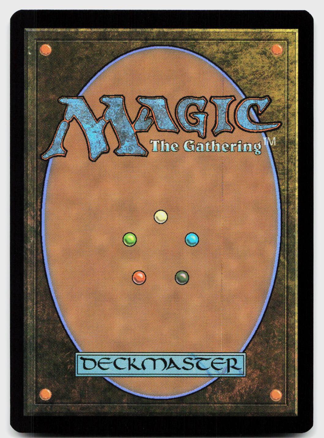 Thorin Oakenshield (Borderless) 202 Uncommon The Hobbit Magic: The Gathering Down Under Trading Cards Australia