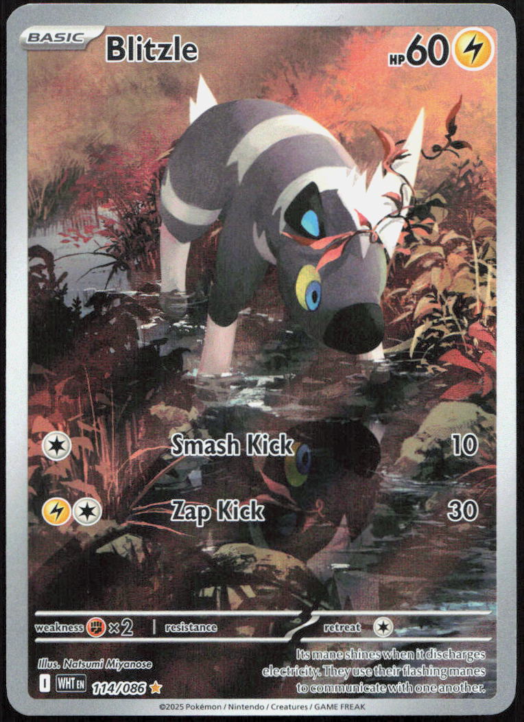 Blitzle 114/086 Illustration Rare White Flare Pokemon