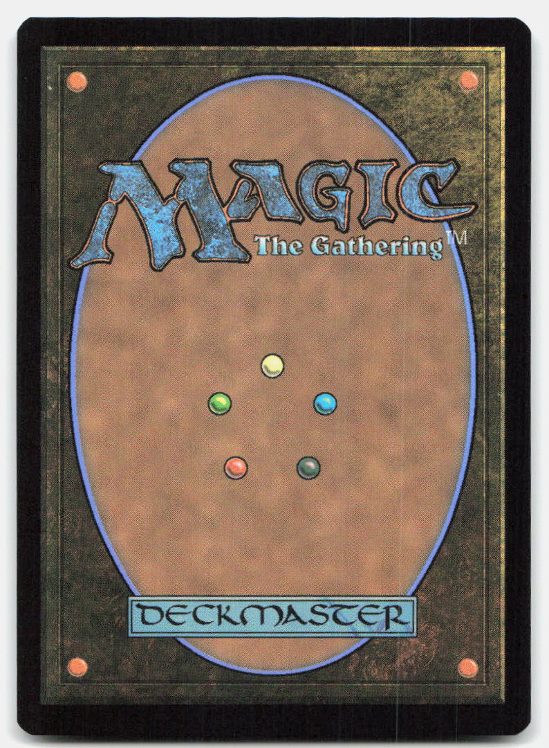 Plains (0191) 0191 Land Teenage Mutant Ninja Turtles Magic: The Gathering
