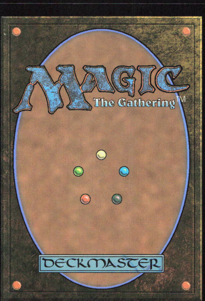Plains (0191) 0191 Land Teenage Mutant Ninja Turtles Magic: The Gathering
