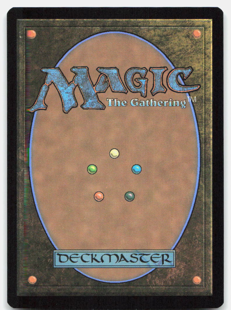 TCRI Building 0189 Land Teenage Mutant Ninja Turtles Magic: The Gathering