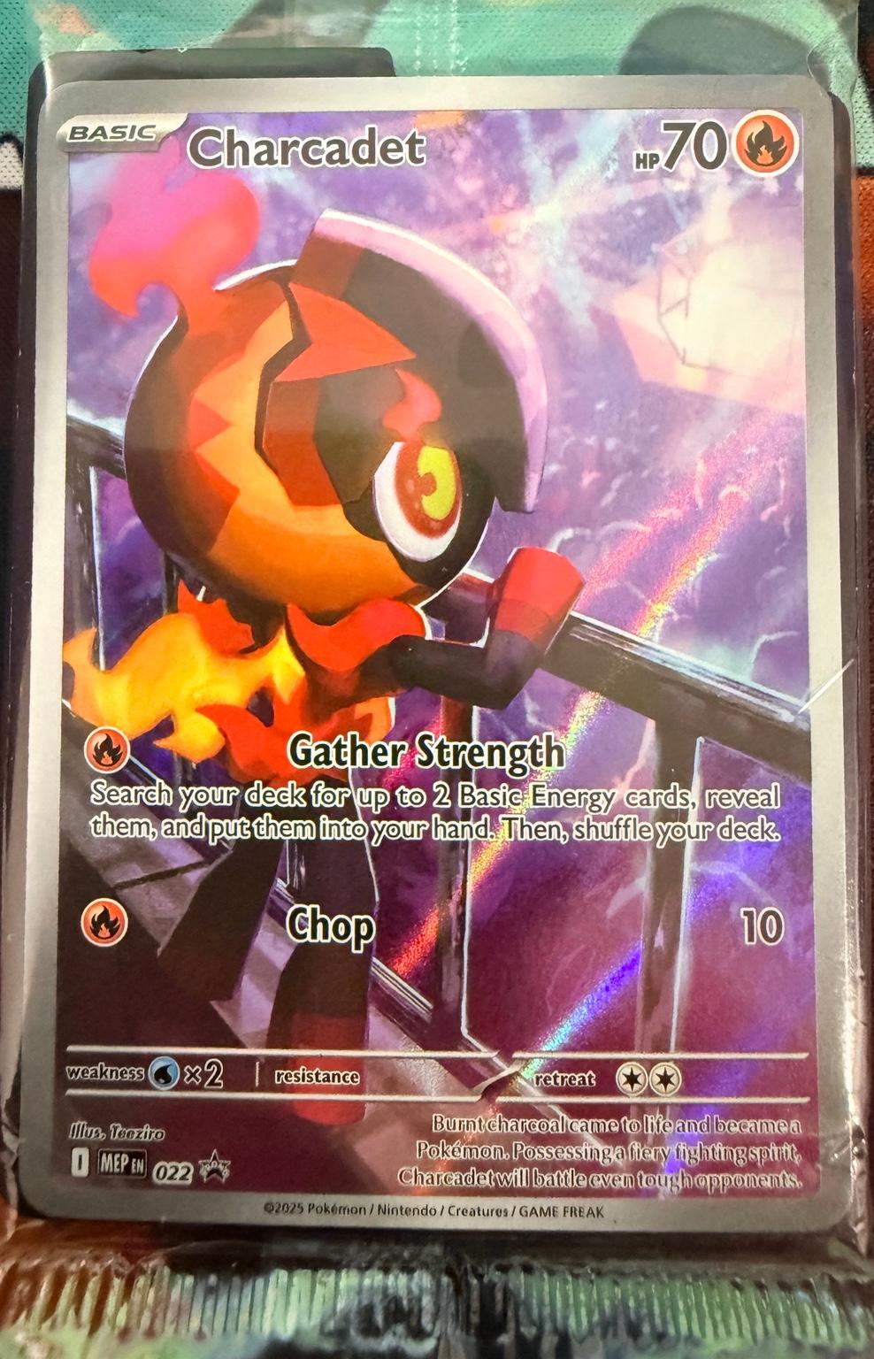 Charcadet 022 Holo Promo ME: Mega Evolution Black Star Promo Pokémon (Sealed)