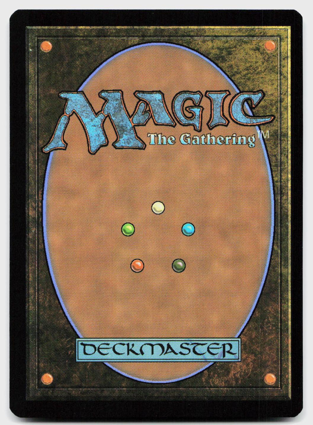 Swamp (0255) 0255 Land Teenage Mutant Ninja Turtles Magic: The Gathering Foil