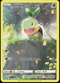 Turtwig GG31/GG70 Holo Crown Zenith Galarian Gallery Pokemon